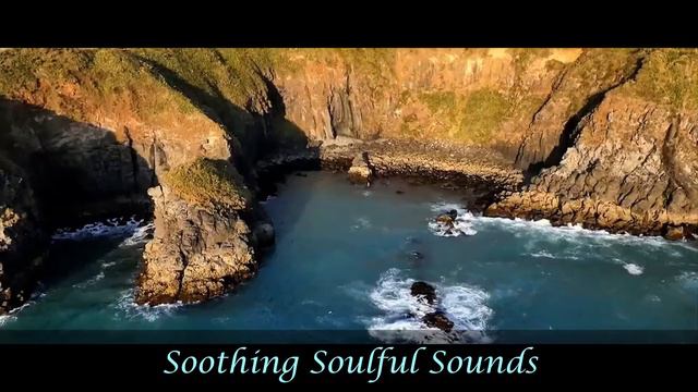 Amazing Nature Scenes And  Beautiful Music. Full Hour HD 1080p ( Click And Bring Nature To You!)