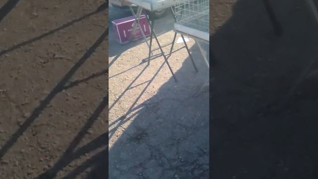 Выставка-Продажа смотреть онлайн