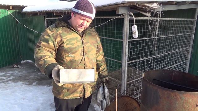 Копченая скумбрия в самодельной коптильне из бочки смотреть онлайн