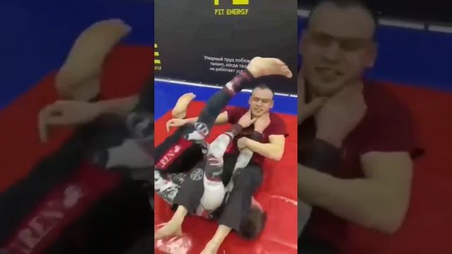 тренировки по бразильскому джиу джитсу г. Саратов пл. Орджоникидзе 6А #бжж #грэпплинг #мма #bjj