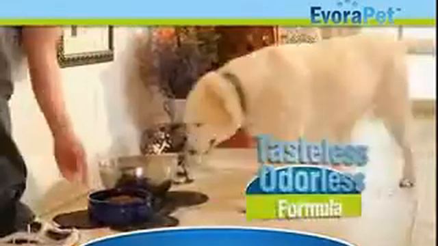 EvoraPet смотреть онлайн