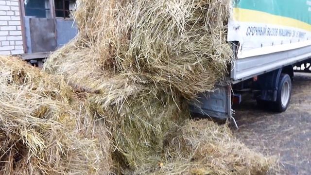 ГРУЗОВИЧКОФ смотреть онлайн