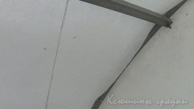 ПОСАДКА ОГУРЦОВ В ТЕПЛИЦЕ 1 смотреть онлайн