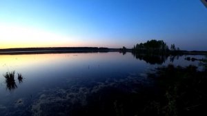 Рыбалка на карася 2023 в Тверской области. Велопоход. На велосипеде на рыбалку с палаткой. Часть 2.