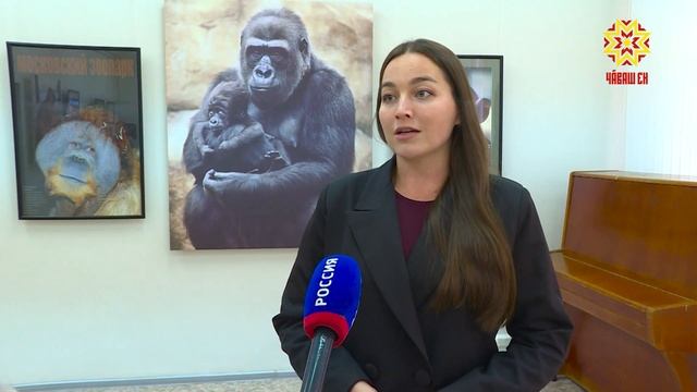 Чĕр чунсен портречĕсем тыткăнлаççĕ смотреть онлайн