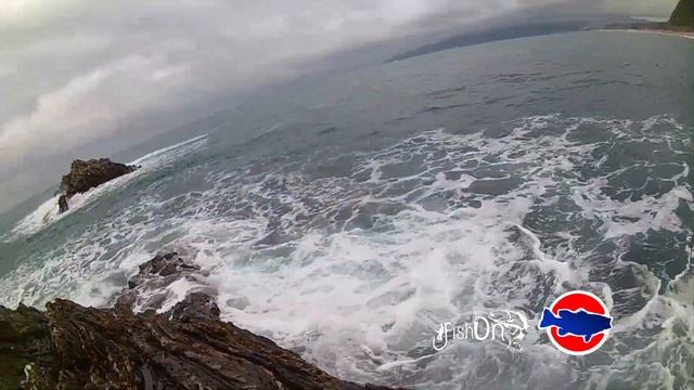 Pesca a bolognese, test Akami Salina смотреть онлайн