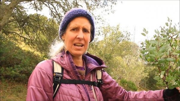 What's BLOOMING NOW SERIES !!(Late Winter Blooming flowers)