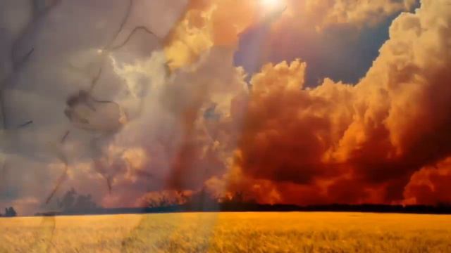 Don't Talk meme смотреть онлайн