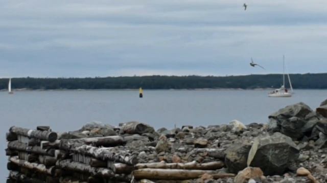 ККЗ-2023. Окончание 3-го этапа Ковда-Кандалакша. смотреть онлайн