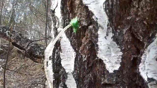 Сплав Первоуральск-Билимбай 2019, река Чусовая. смотреть онлайн