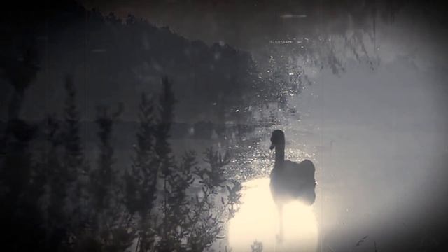 РОМАНС ЛЮДИ СПЯТ. Вокал Мария Рыкова. смотреть онлайн