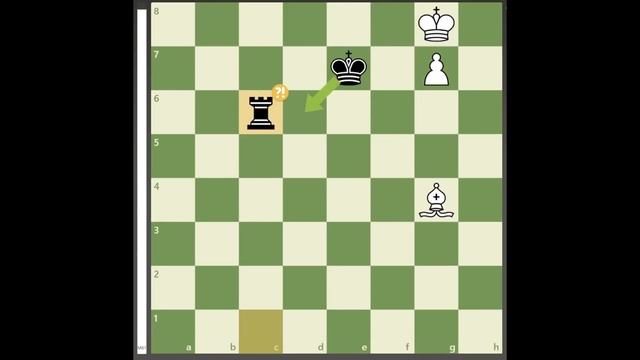 What "real" chess studies looks like... смотреть онлайн