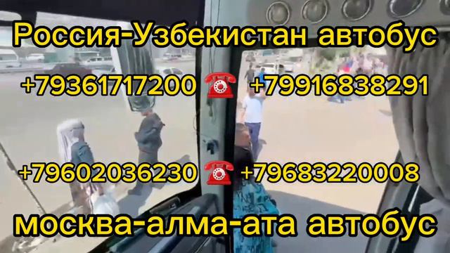 санкт-петербург-ташкент автобус москва-узбекистан автобусМосква Шымкент автобус#рекомендации #такси смотреть онлайн