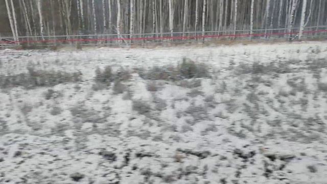 Аэроэкспресс Шереметьево B, C - Шереметьево D, E, F. Снежное утро в Москве 31.10.22 смотреть онлайн