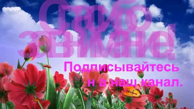 Как менялась наша метельчатая гортензия Ванила Фрайз смотреть онлайн