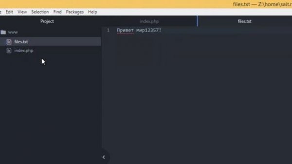 PHP. file_put_contents - Запись строки в файл - 58