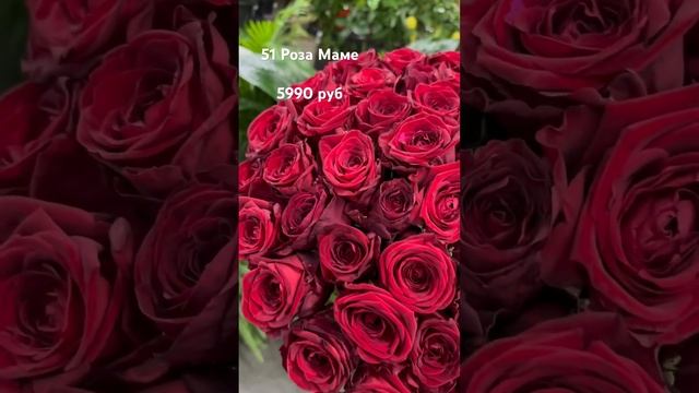 +79998663132 WhatsApp. #цветы #розы #цветымосква #заказать #хризантема #корзина #пионы #букет смотреть онлайн