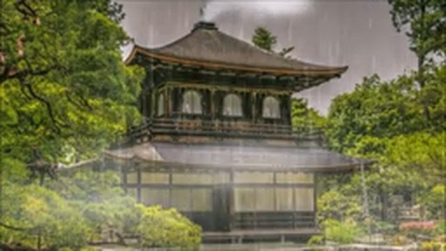 Звуки дождя и грома для сна - 99.9% мгновенно засыпают ! - Шум дождя на крыше в туманном лесу смотреть онлайн