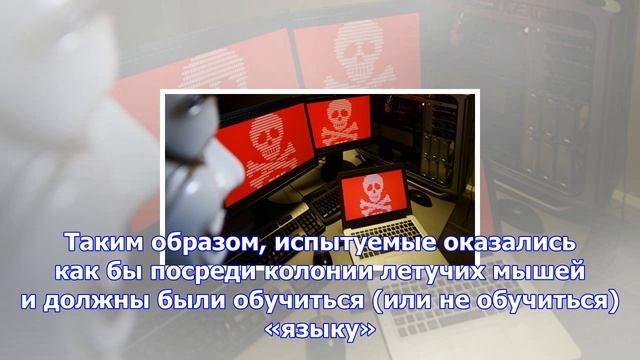 Летучие мыши умеют учить местные диалекты смотреть онлайн
