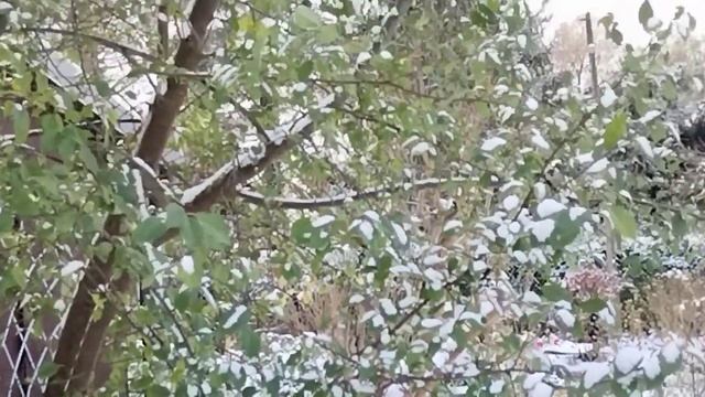 зима нечаянно нагрянет❄️? смотреть онлайн