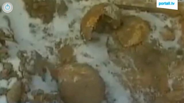 Детский сад на месте кладбища смотреть онлайн
