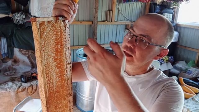 О пчелках. Очищаем от забруса, медогоним и подводим итог. 11.08.23 смотреть онлайн