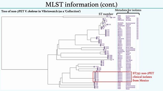 Avril Coghlan (WSI) - Vibrio cholerae in Pathogen.watch смотреть онлайн