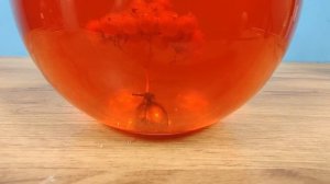 Как вырастить огромные кристаллы сахара на любом предмете!