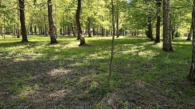 г. Черняховск май 2023 смотреть онлайн