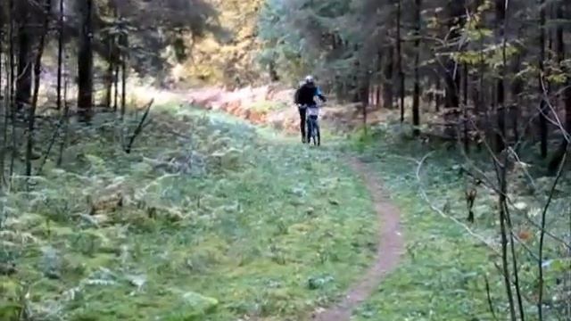 Ярцево тим финал смотреть онлайн