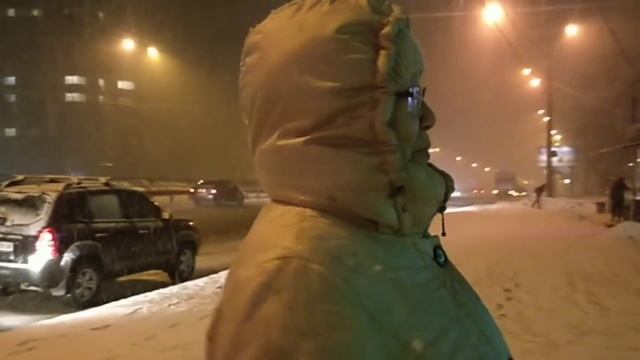 СНЕГ ПОМЕШАЛ . смотреть онлайн