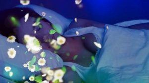 Тушда Подшох курса | Tushda Podshox ko'rsa