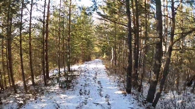 Поход по тропе солнечный круг. Красноярский столбы. Торгашинский хребет смотреть онлайн