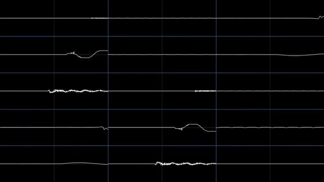 Oscilloscope meme смотреть онлайн