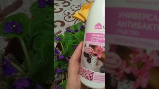 Болезнь комнатных растений? Что поможет? смотреть онлайн