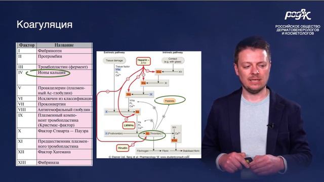 Выпадение волос после COVID-19. Как помочь Протоколы лечения (РОДВК)