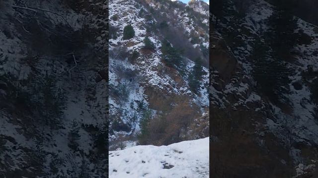 Необычный памятник осетинскому музыкальному инструменту в горной Дигории смотреть онлайн