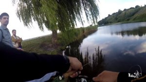 Тест Спиннинга Abu Garcia Diplomat Boron DBS-402SUL MGS,  1.22метра до 3 грм