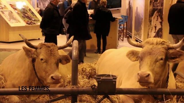 Femme, Agriculture et Développement Durable Université Paris 1 Panthéon-Sorbonne смотреть онлайн
