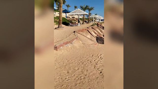 Grand Oasis Resort 4* Шарм Ель шейх