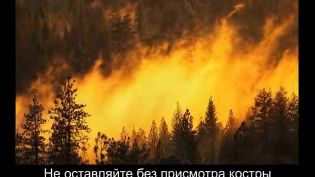 Социальный ролик 04 смотреть онлайн