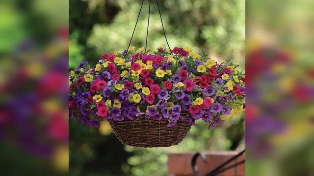 SO CLASSIC AND AWESOME HANGING BASKETS DESIGN AND IDEAS FOR GARDENS 🙂 смотреть онлайн