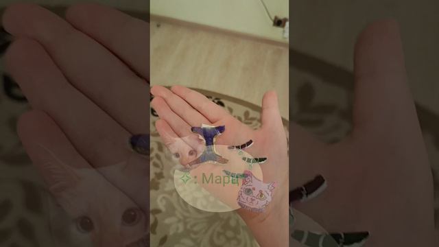 Собираемся в Питер! #БумпдныеЖивотные#реки#Питер смотреть онлайн