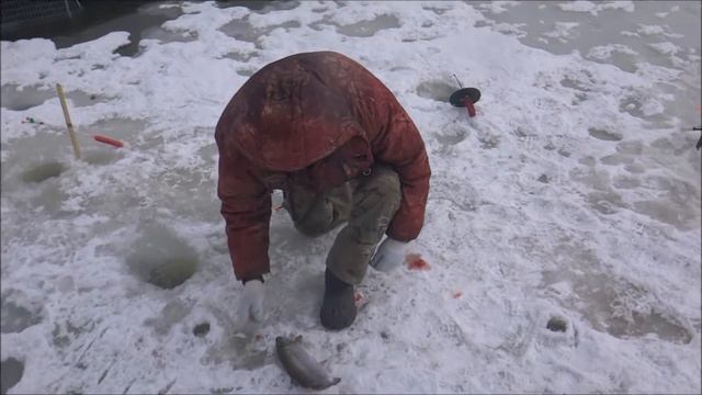 Рыбалка на льду в Савельево-1! 25.03.17 смотреть онлайн