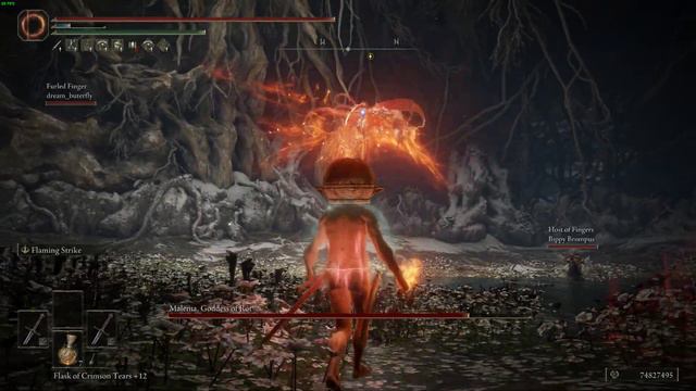elden ring malenia nohit (solo, 3 player scaling, no bleed/frost, RL125) смотреть онлайн