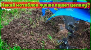 Как выбрать мотоблок с нуля?