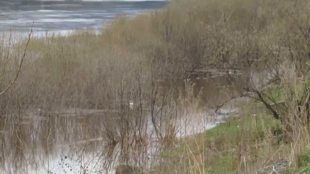 Половодье на реке Лена, 2021, Усть-Кут смотреть онлайн