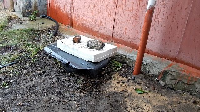 Как зимует ? Жемчуг Сабо. смотреть онлайн