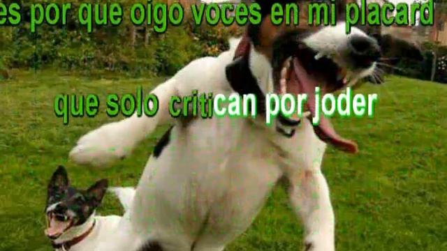 Vilma Palma e Vampiros - Me vuelvo loco por vos - Karaoke смотреть онлайн