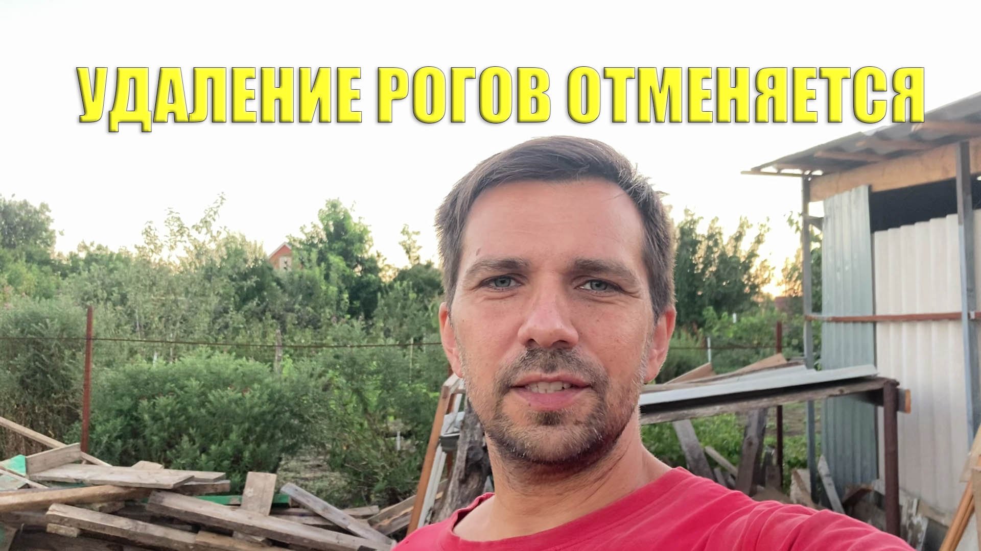 Удаление рогов отменяется, расчехлил элетропастух смотреть онлайн